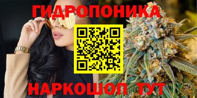 ГАЛЛЮЦИНОГЕННЫЕ ГРИБЫ Нальчик