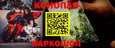 прущие грибы Новозыбков