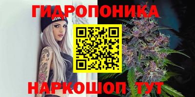 гашик Наро-Фоминск